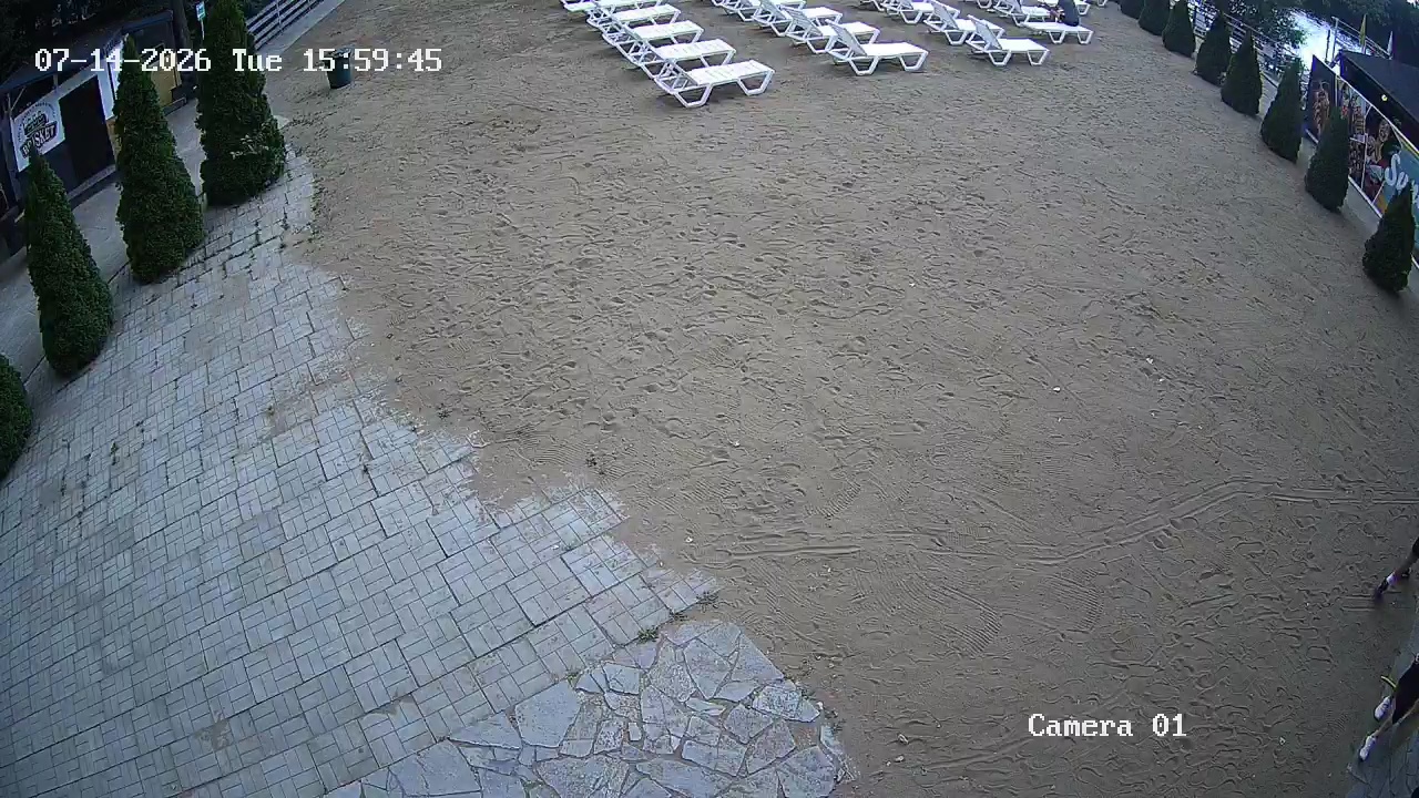 Фото детекции