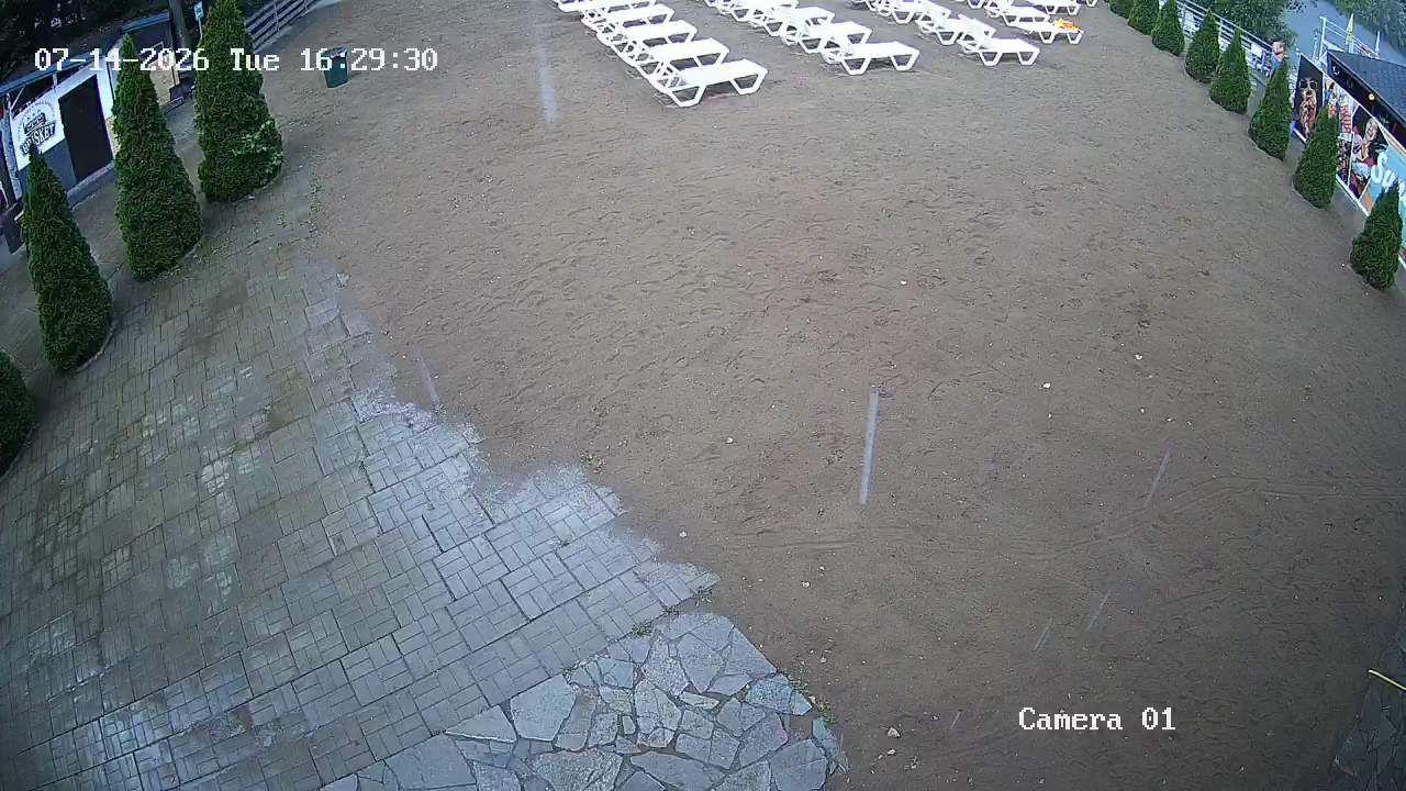 Фото детекции