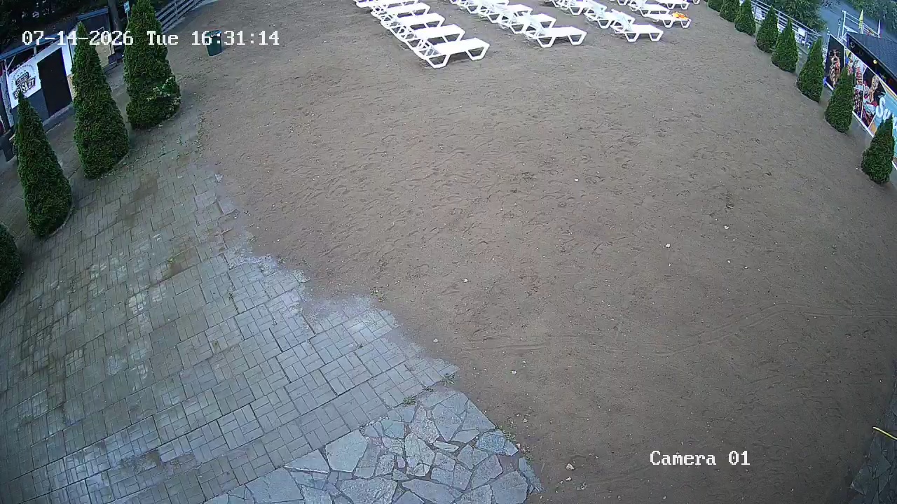 Фото детекции