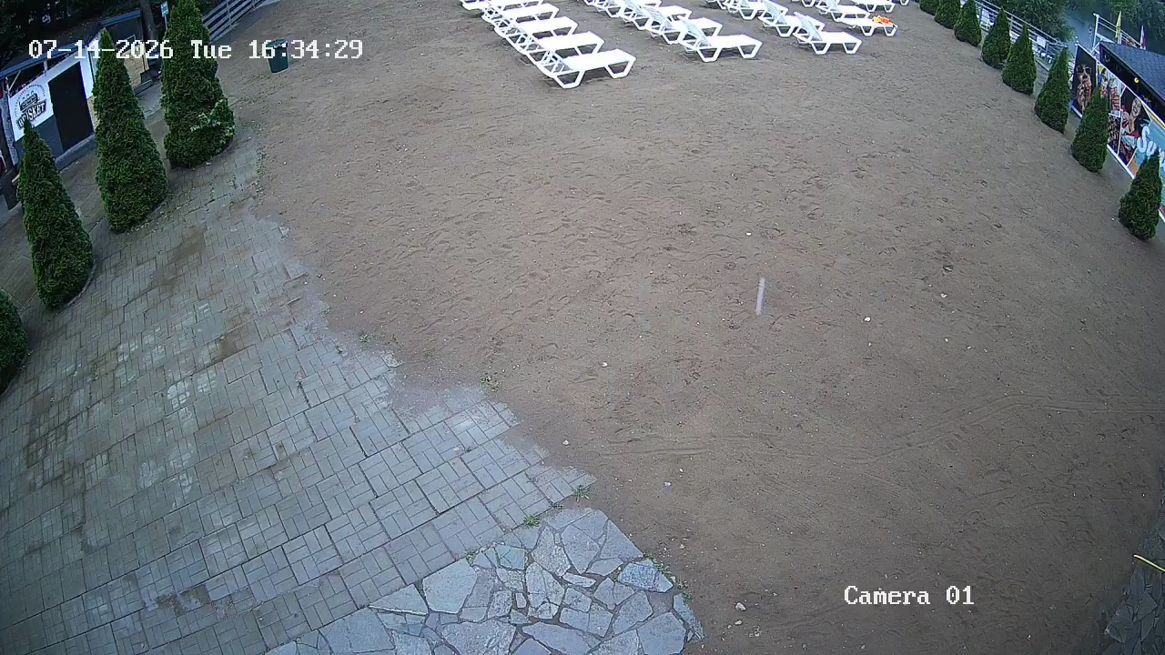 Фото детекции