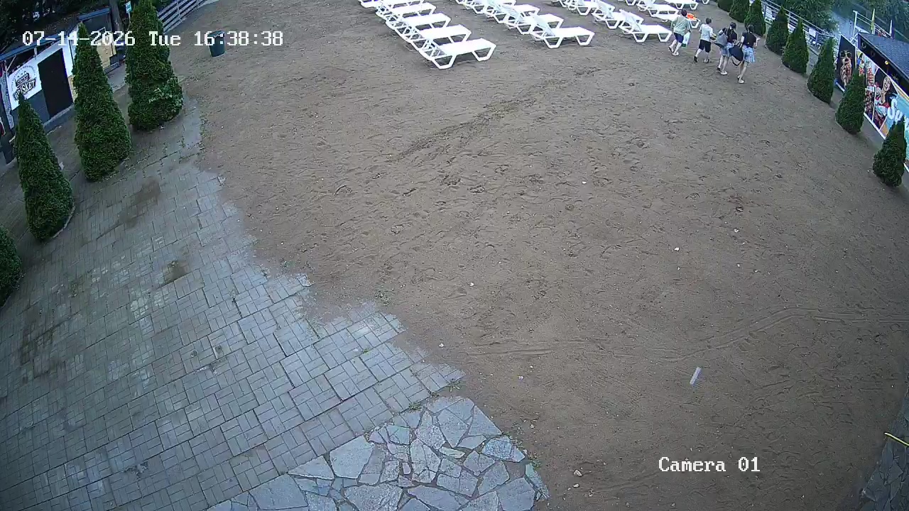 Фото детекции