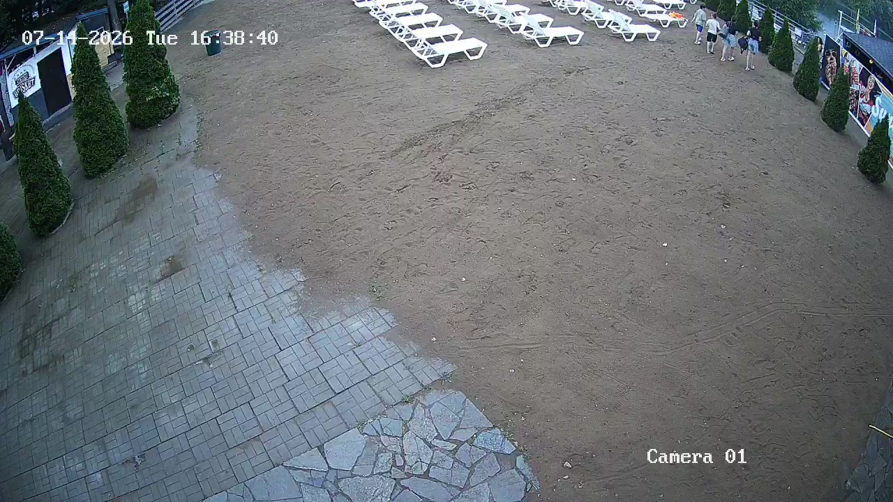 Фото детекции
