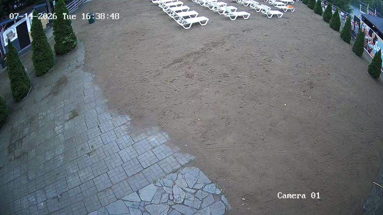 Фото детекции