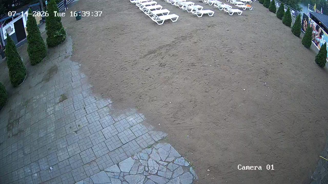 Фото детекции
