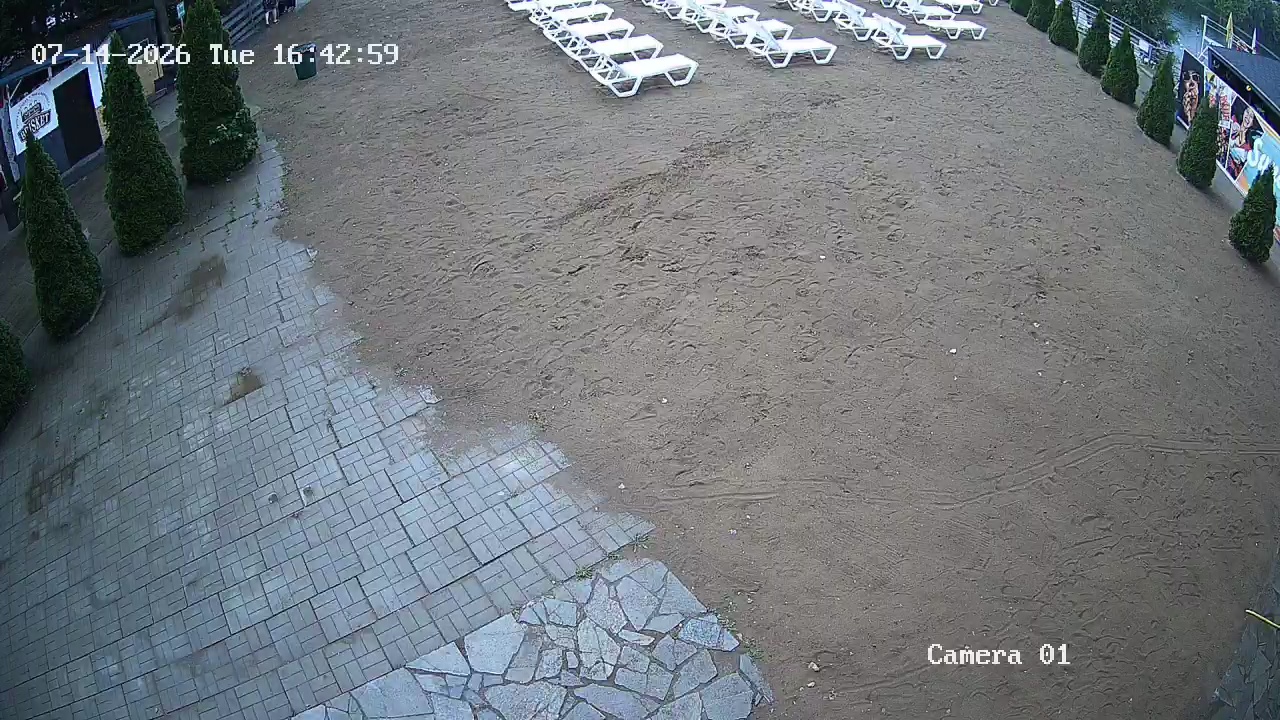 Фото детекции
