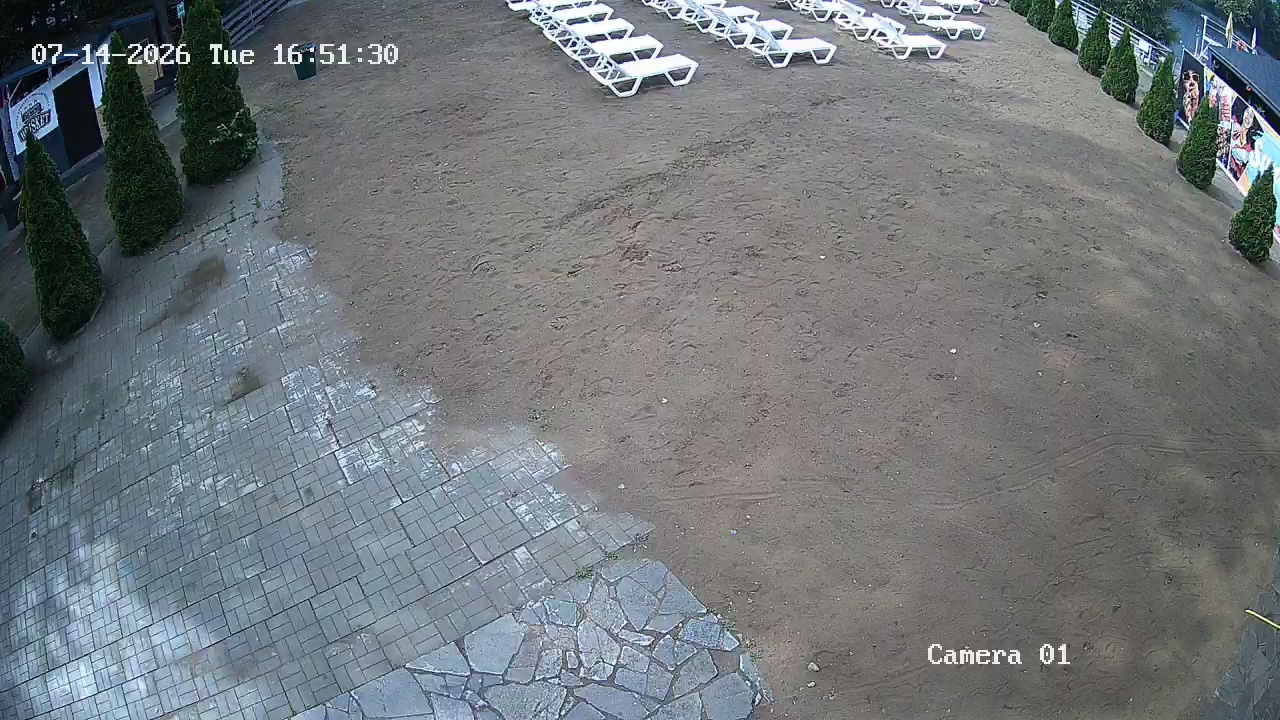 Фото детекции
