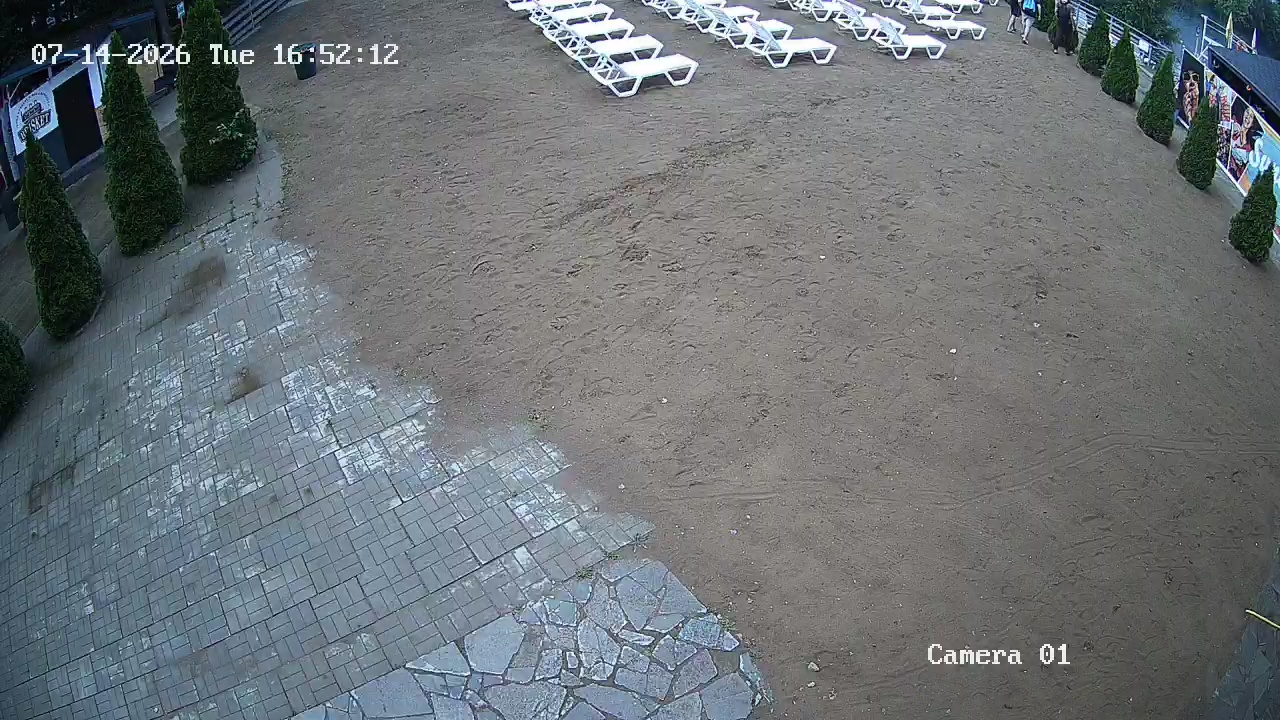 Фото детекции