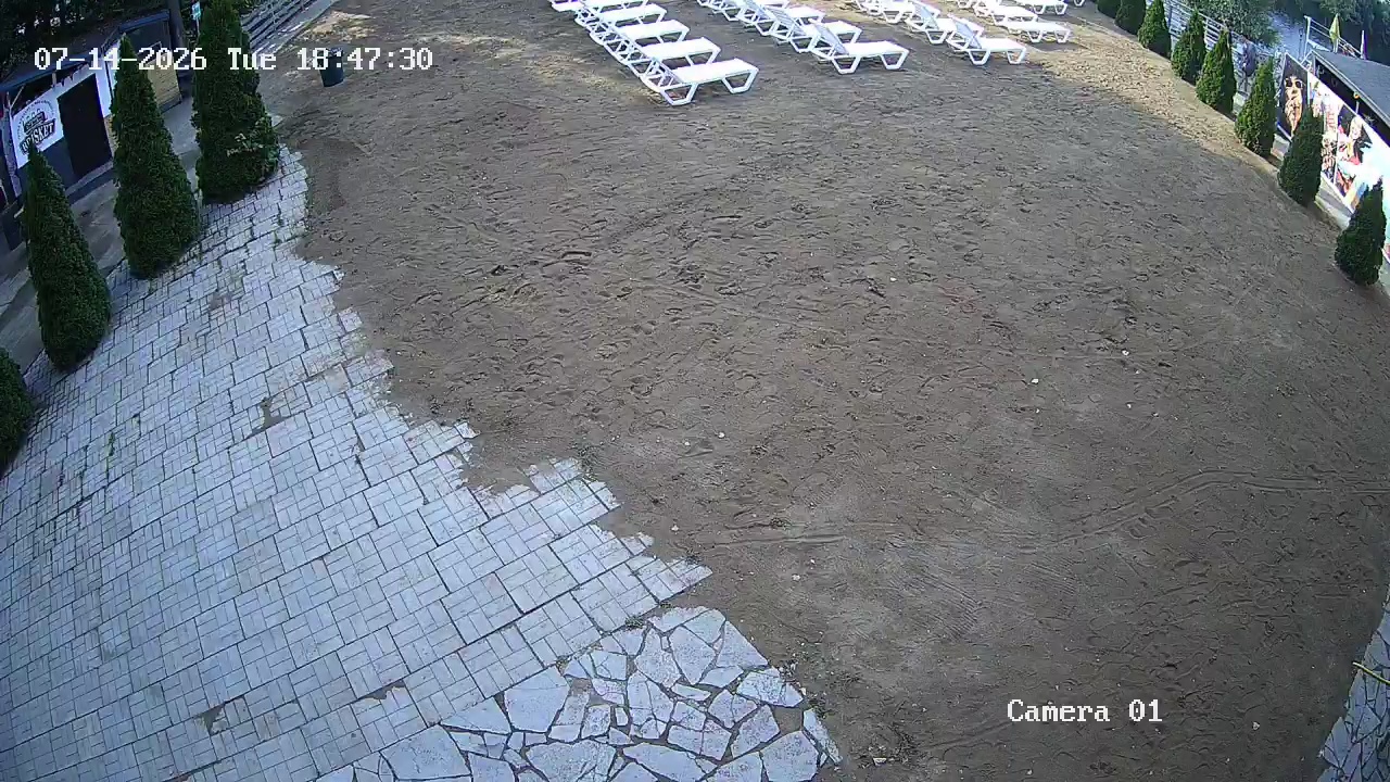 Фото детекции