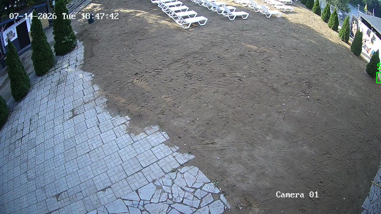 Фото детекции