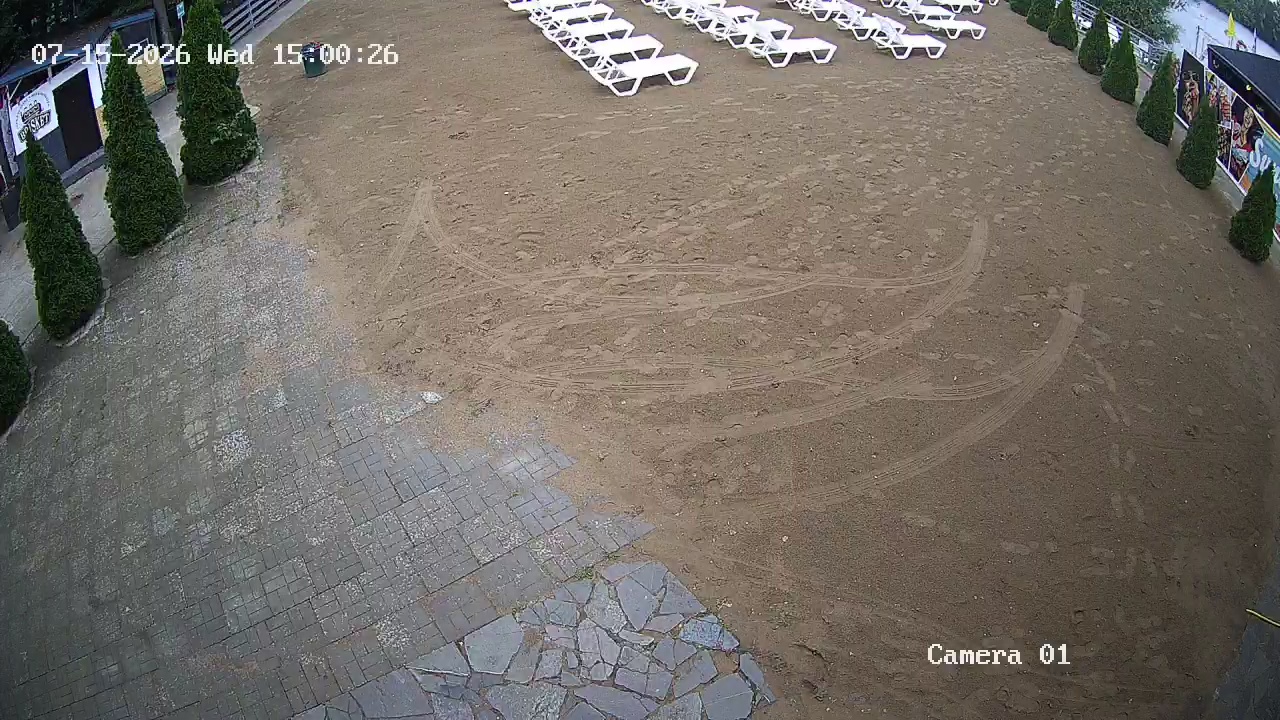 Фото детекции