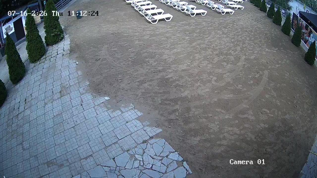 Фото детекции