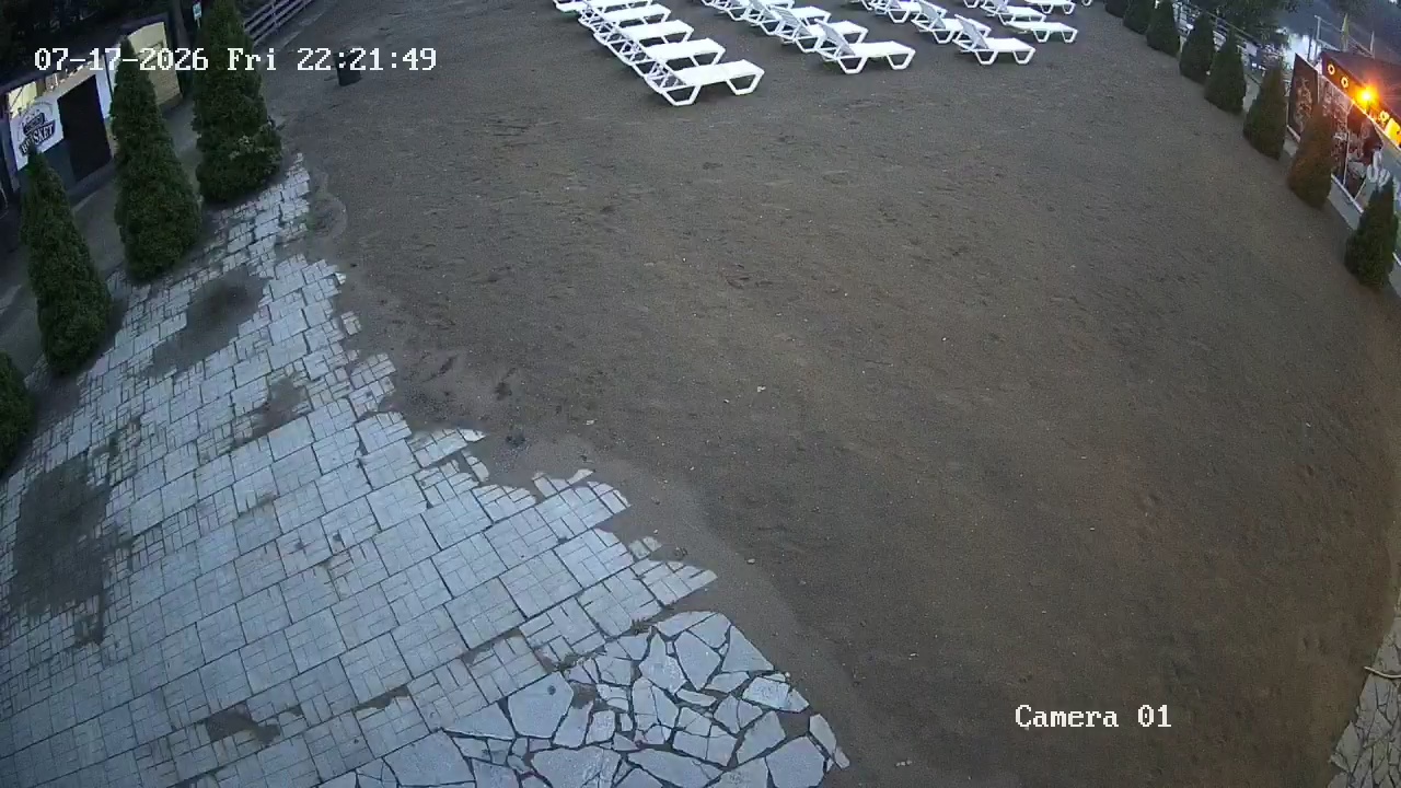 Фото детекции